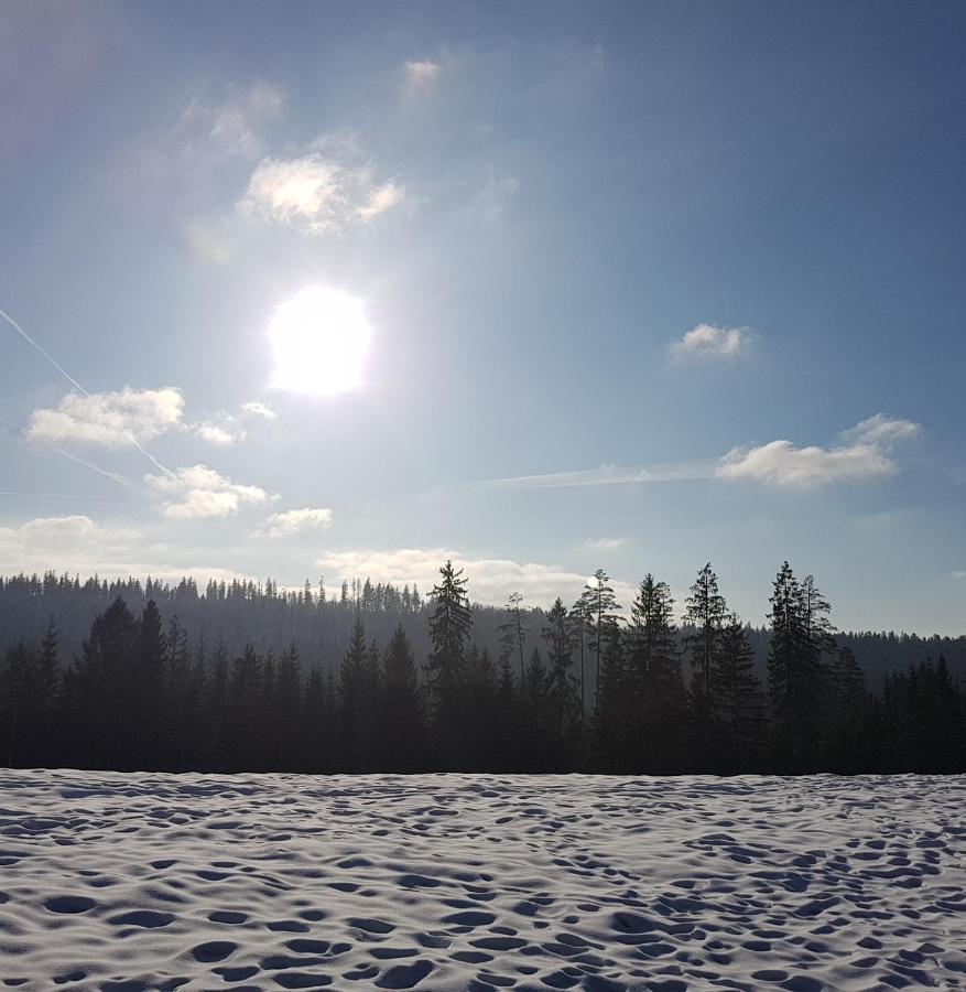 Koniakowo - Dom Hunter Villa Eksteriør bilde