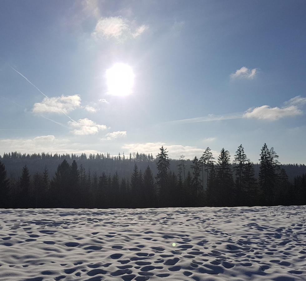 Koniakowo - Dom Hunter Villa Eksteriør bilde